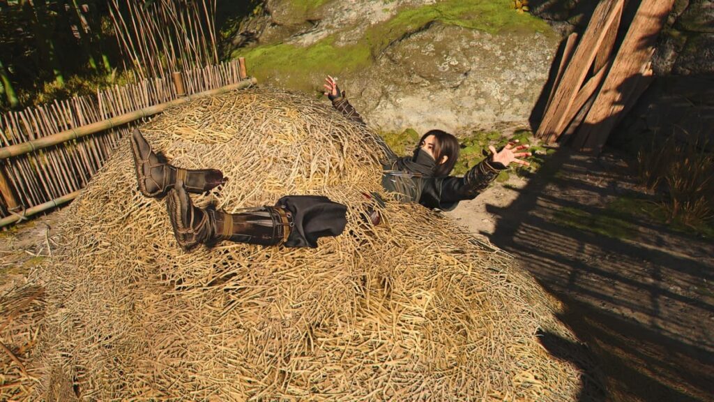 アサシンクリードシャドウズ。