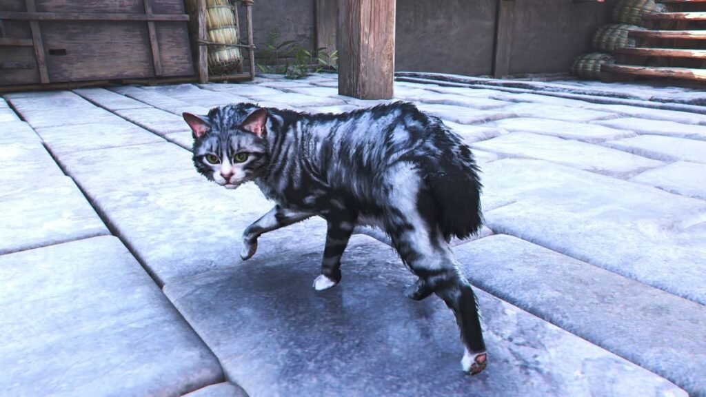 アサシンクリードシャドウズ。