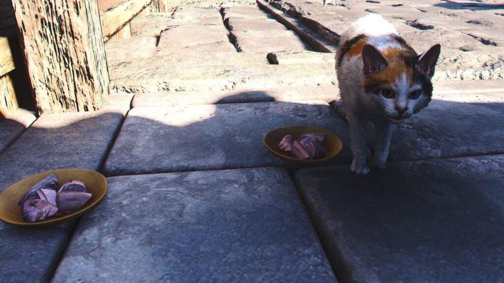 アサシンクリードシャドウズ。