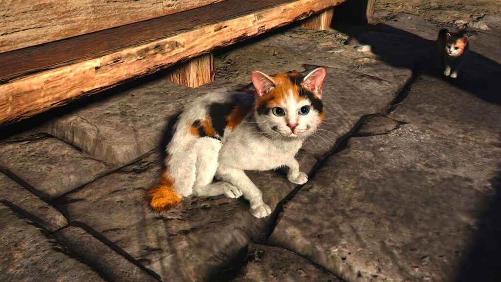 アサシンクリードシャドウズ。